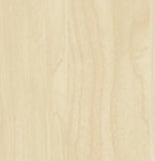 STS 2 Sit to Stand Electric