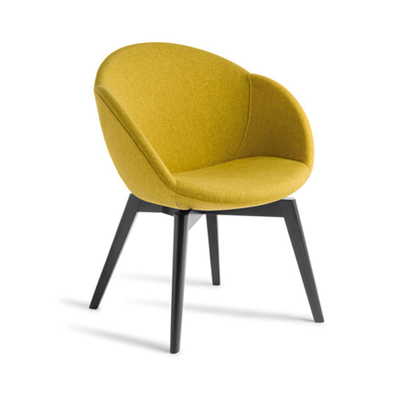 Amelia_black_timber_momentum_b