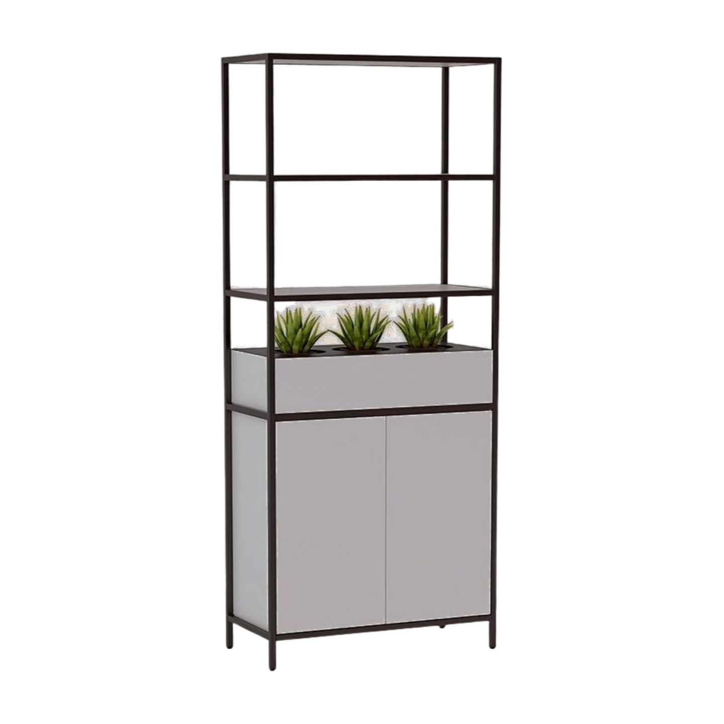Shelving unit with plants on a white background