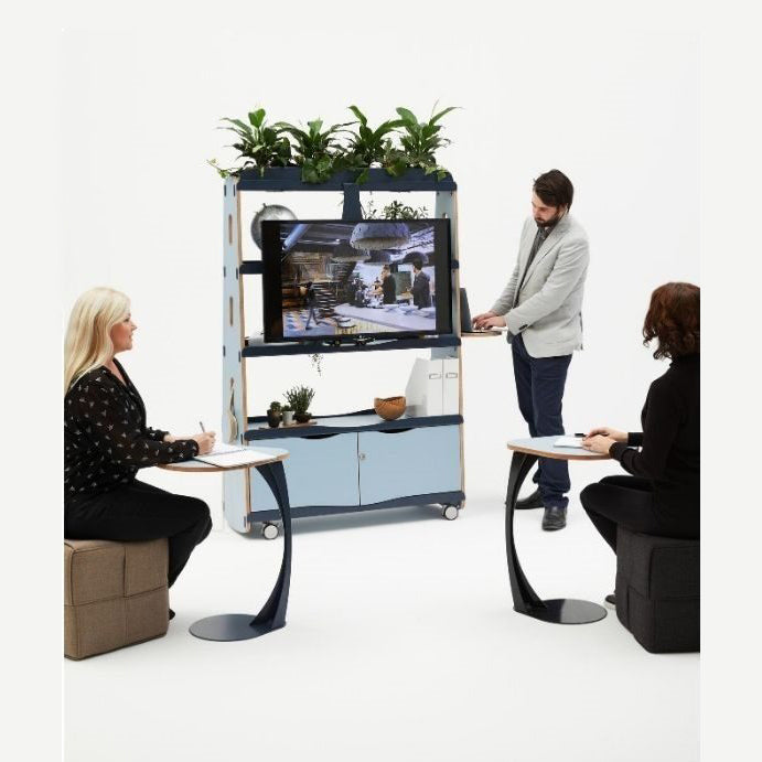 Roam Multimedia hub TV mount
