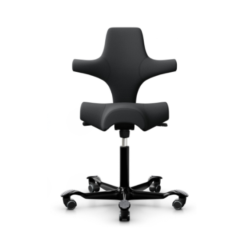 HÅG Capisco Chair 8106