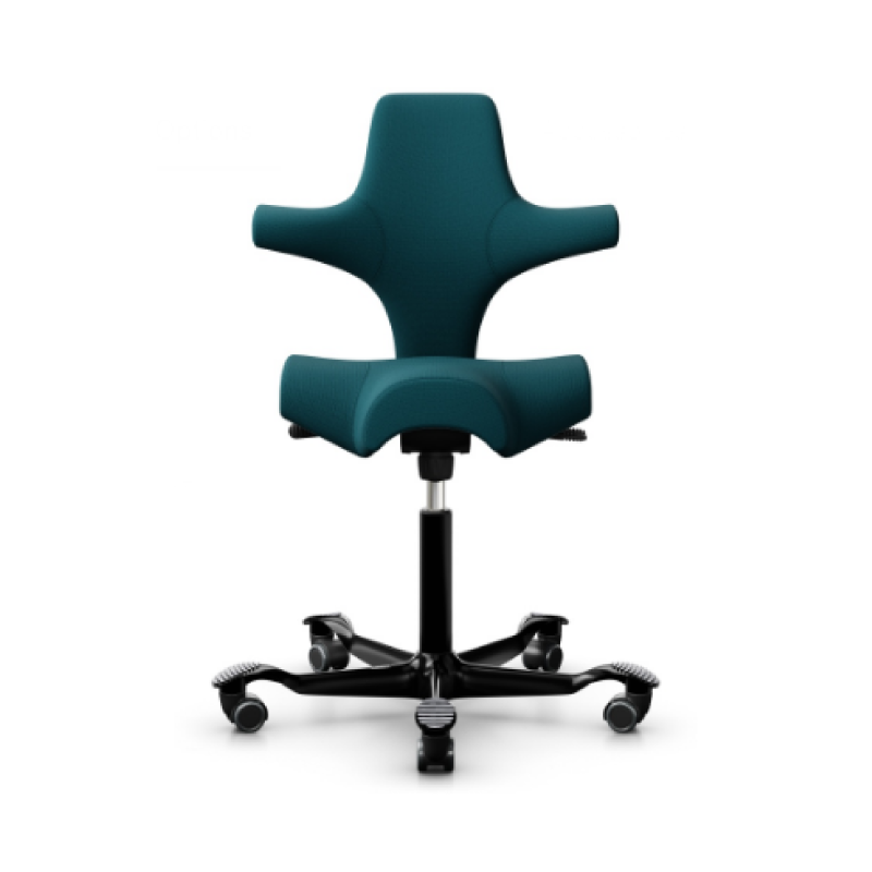 HÅG Capisco Chair 8106