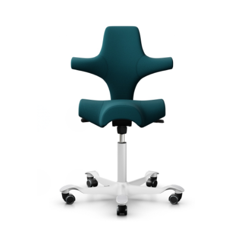 HÅG Capisco Chair 8106