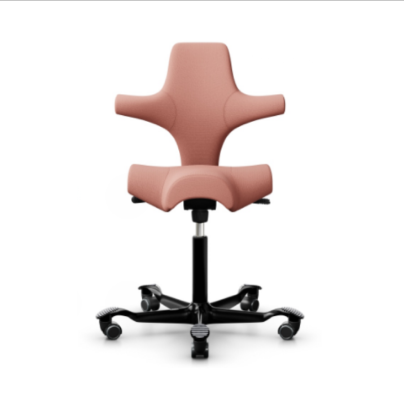 HÅG Capisco Chair 8106