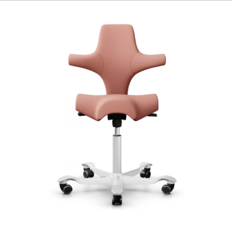HÅG Capisco Chair 8106