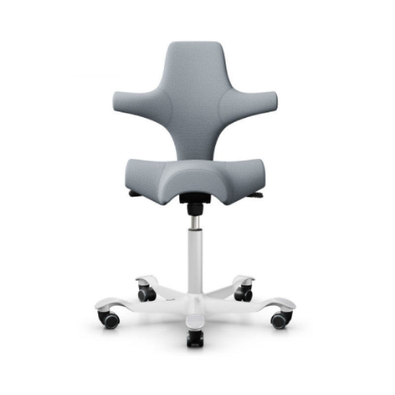 HÅG Capisco Chair 8106