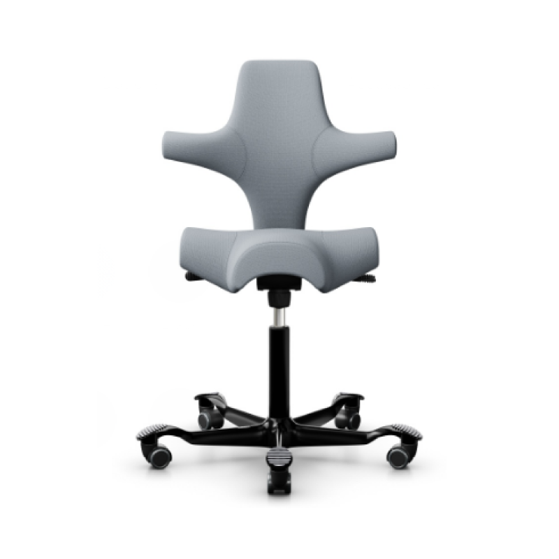 HÅG Capisco Chair 8106