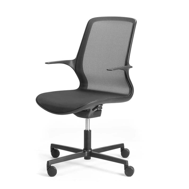 Ovidio Chair
