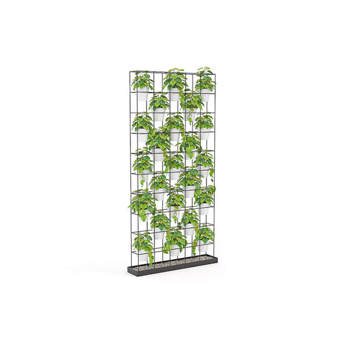 Green Walls