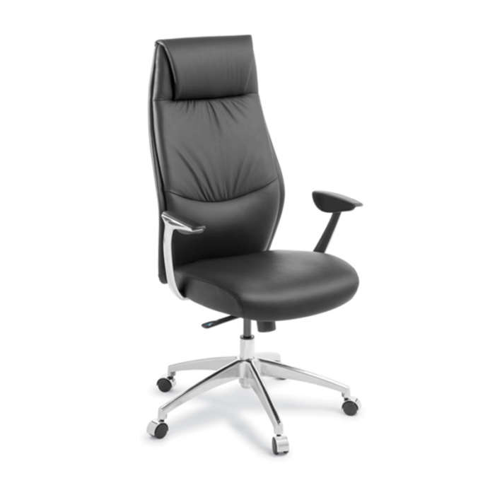 Domain Executive Chair