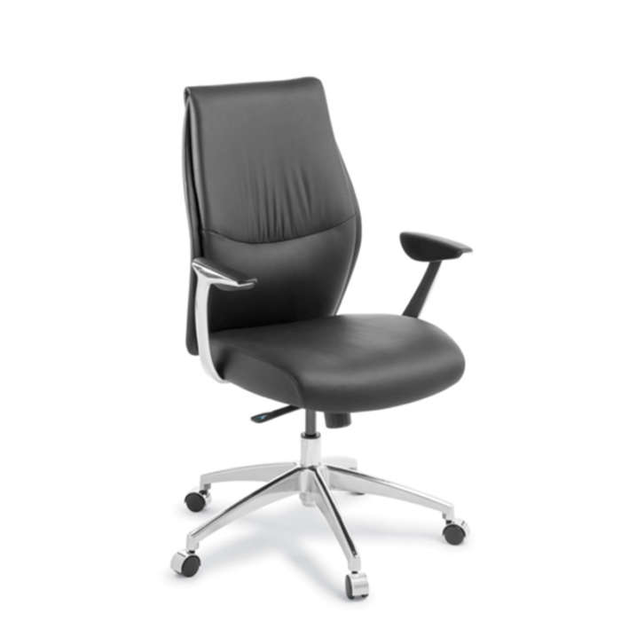 Domain Executive Chair Mid Back