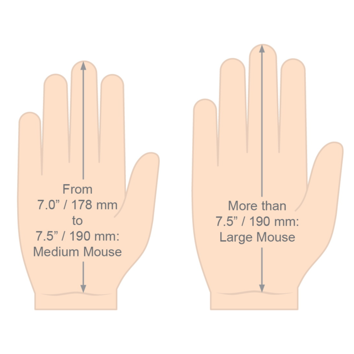Evoluent D mouse hand sizes guide