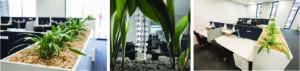 biophilic design-ergostyle