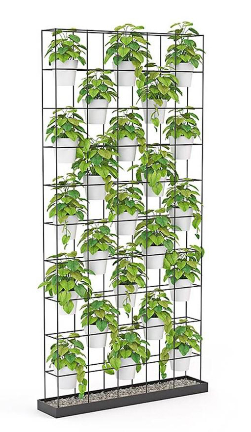 Living Green Walls