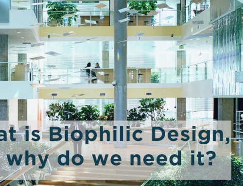What is Biophilic Design, and why do we need it?