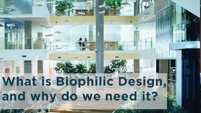 What is Biophilic Design, and why do we need it?